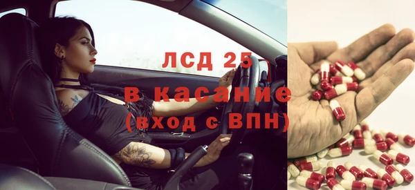 кокс Аркадак