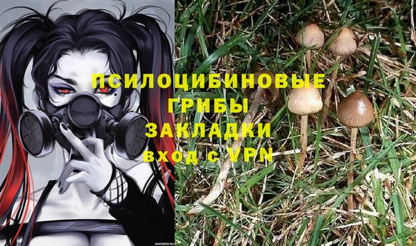 кокс Аркадак